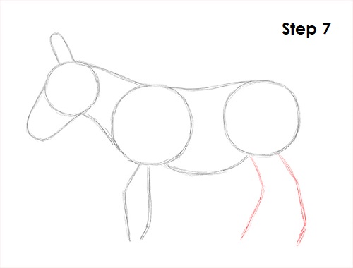Draw Donkey 7