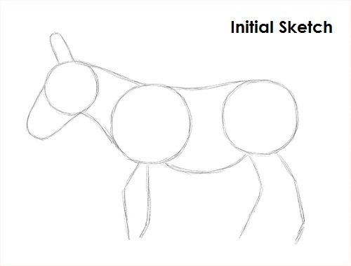 Draw Donkey Sketch