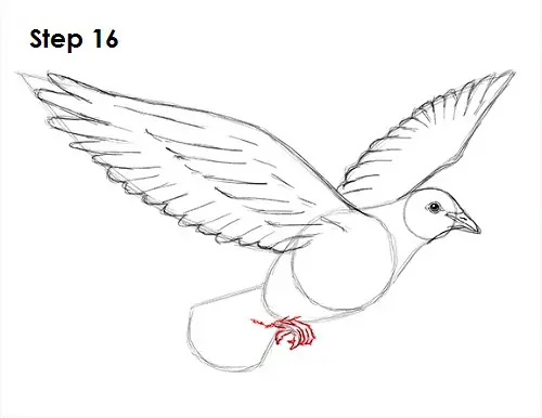 How to Draw a Dove