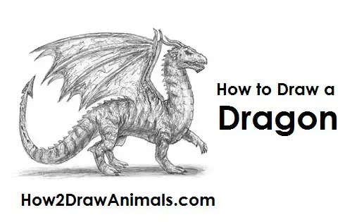 How to Draw Dragons – 50 Best Dragon Drawing Tutorials