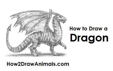 How to Draw a Dragon