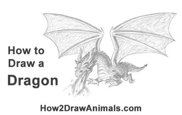 drawing of a dragon flying