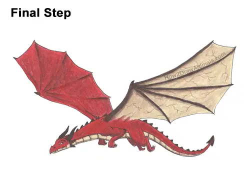 How to Draw a Dragon Flying Wings Color