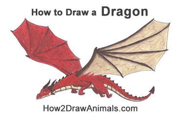 How to Draw Dragons – 50 Best Dragon Drawing Tutorials