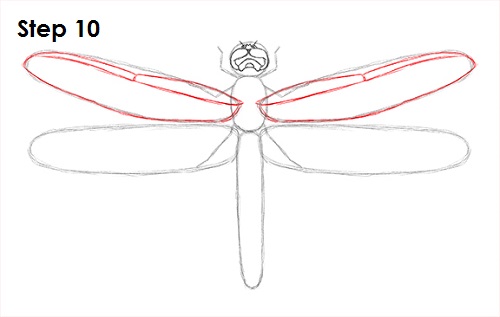 Draw Dragonfly 10