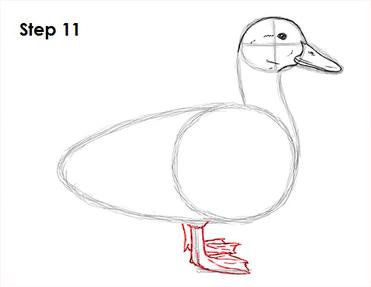 How To Draw A Duck