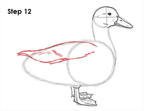 Draw Duck 12