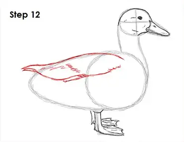 How To Draw A Duck