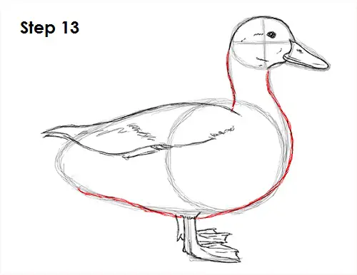 Draw Duck 13