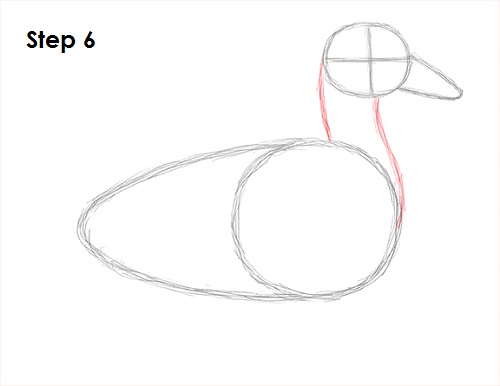 Draw Duck 6