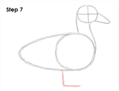 Draw Duck 7