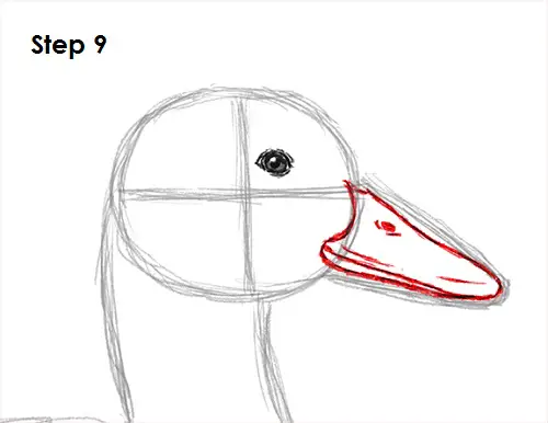 Draw Duck 9