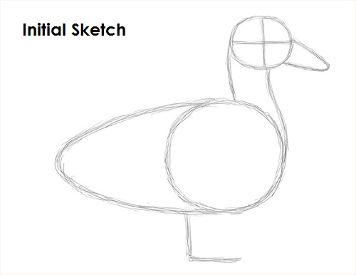 Draw Duck Sketch