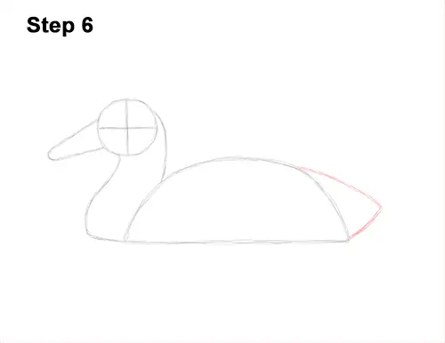 How to Draw a Male Mallard Duck Color 6