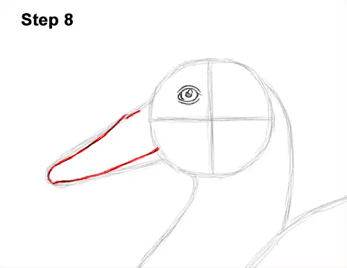 How to Draw a Male Mallard Duck Color 8