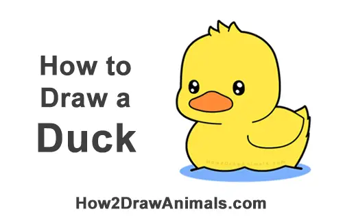 Featured image of post Simple Cartoon Duck Drawing We ll use a bunch of circles and ovals along with a few other a simple and rounded inverted v makes the tail