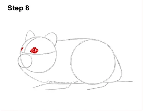 How to Draw a Russian Winter White Dwarf Hamster 8