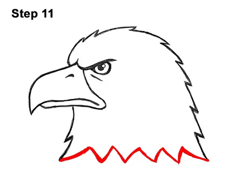How to Draw Cool Cartoon Bald Eagle Head 11