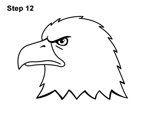 How to Draw Cool Cartoon Bald Eagle Head 12