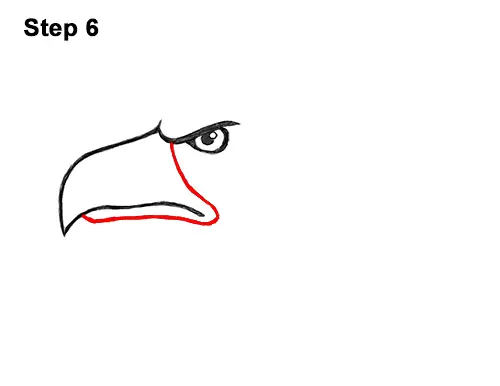 How to Draw Cool Cartoon Bald Eagle Head 6