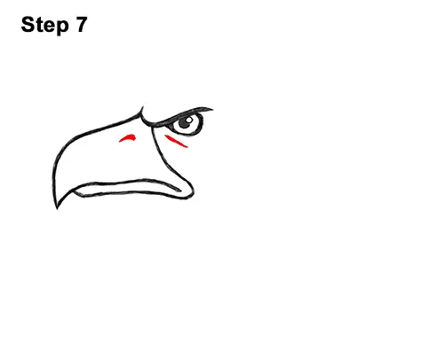 How to Draw Cool Cartoon Bald Eagle Head 7