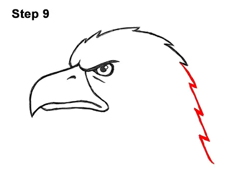 How to Draw Cool Cartoon Bald Eagle Head 9