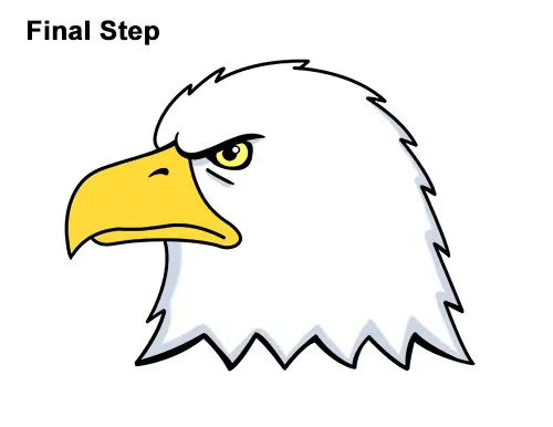 How to Draw Cool Cartoon Bald Eagle Head