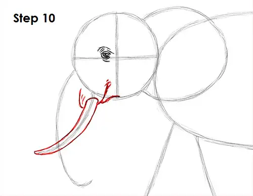 Draw Elephant 10