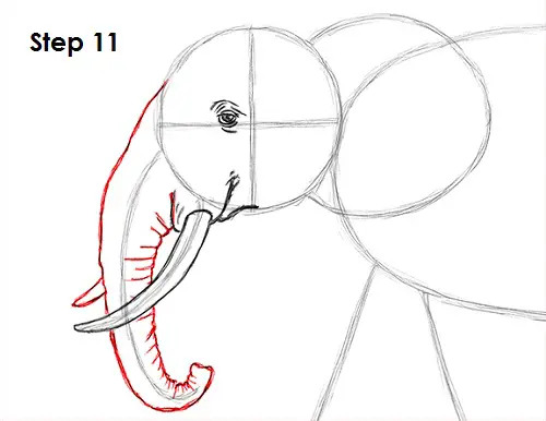 Draw Elephant 11
