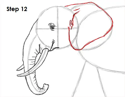 Draw Elephant 12