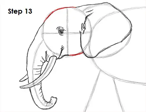 Draw Elephant 13