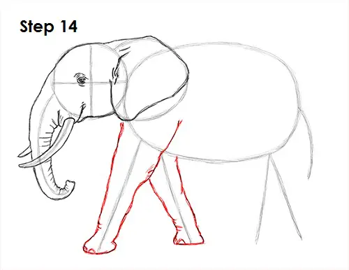 Draw Elephant 14