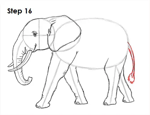 Draw Elephant 16