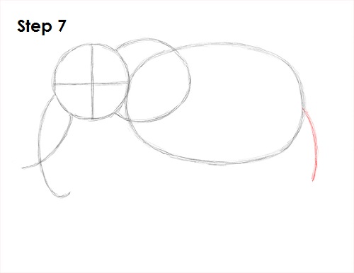 Draw Elephant 7