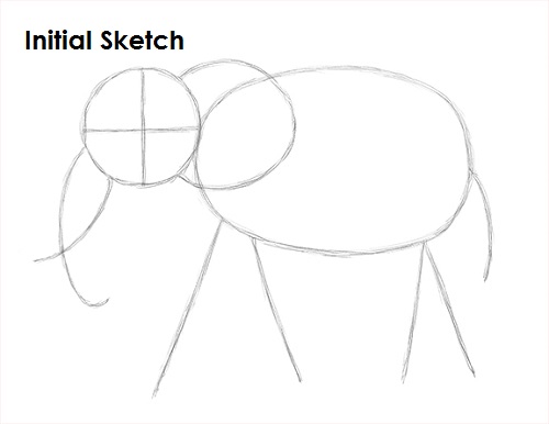 Draw Elephant Sketch