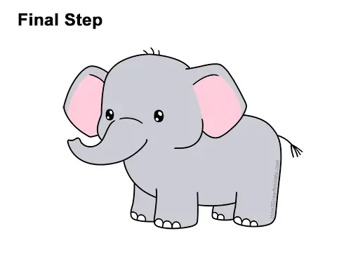 Learn How to Draw an Elephant (Zoo Animals) Step by Step : Drawing Tutorials