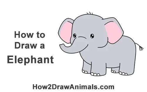 How to draw an elephant Stepbystep tutorial