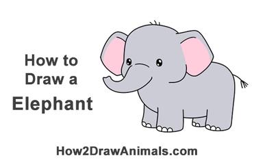 cool elephant drawings