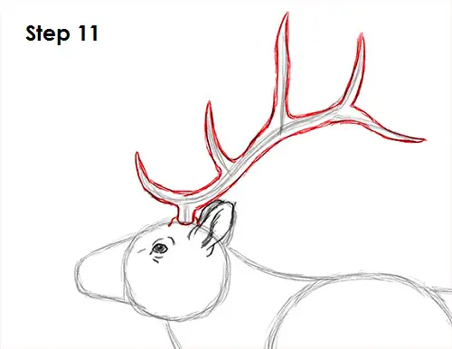 kentucky elk drawing 2022