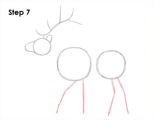 Draw Elk 7