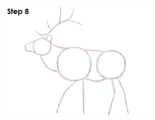 Draw Elk 8