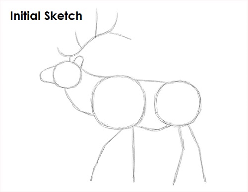 Draw Elk Sketch