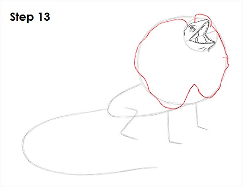 Draw Frilled Neck Lizard 13