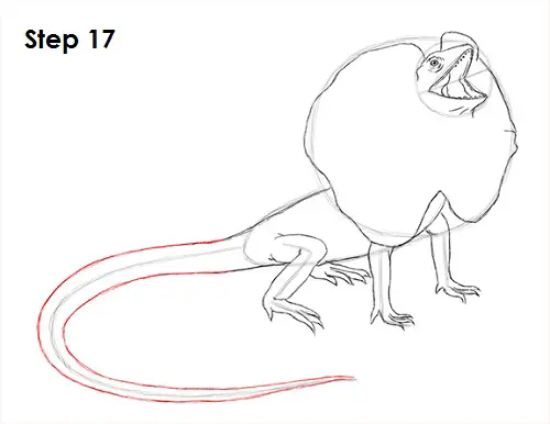 Draw Frilled Neck Lizard 17