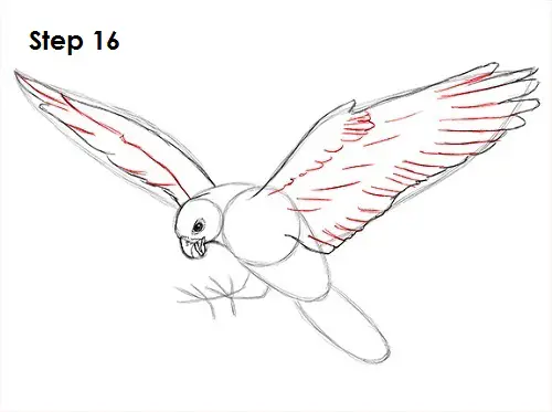 Draw a Falcon 15