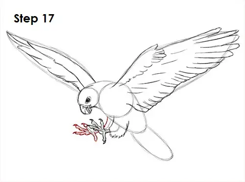 Draw a Falcon 17