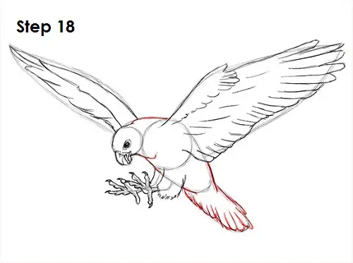 Draw a Falcon 18