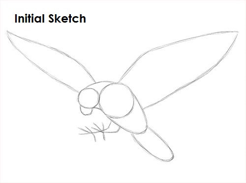 Draw a Falcon Sketch