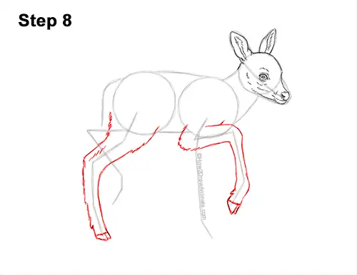 How to Draw a Fawn Baby Deer Walking Side View 8
