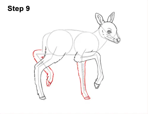 How to Draw a Fawn Baby Deer Walking Side View 9